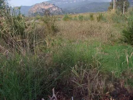 For Sale Land In Dalyan For Sale Dalyan Channel Zero