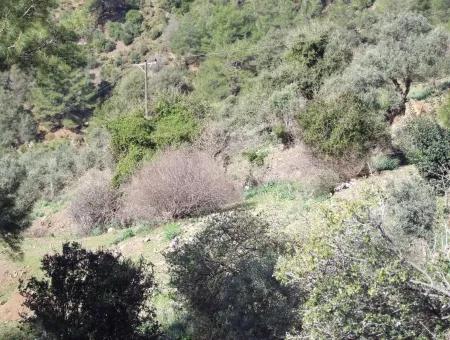 Land  For Sale With Sea View For Sale In Gokbel