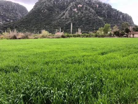 1500M2 Plot For Sale For Sale In Marmarli Archer