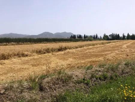 Farm Land For Sale 39 Acres In Eskikoy
