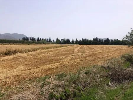 Farm Land For Sale 39 Acres In Eskikoy