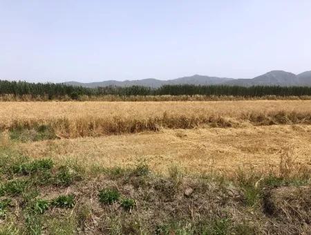 Farm Land For Sale 39 Acres In Eskikoy