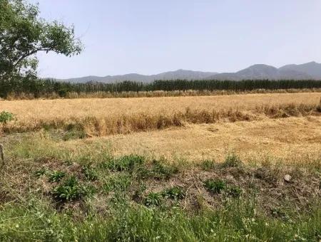 Farm Land For Sale 39 Acres In Eskikoy