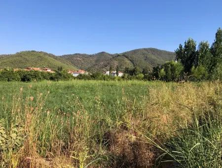 Land For Sale In The Center 891M2 Land For Sale