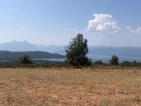 11.227M2 Land For Sale With Lake Views In Köyceğiz Zeytinalanı