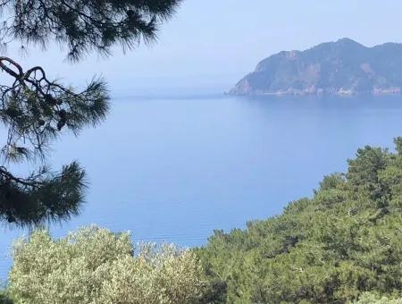 7034M2 Field For Sale With Sea View In Çandir