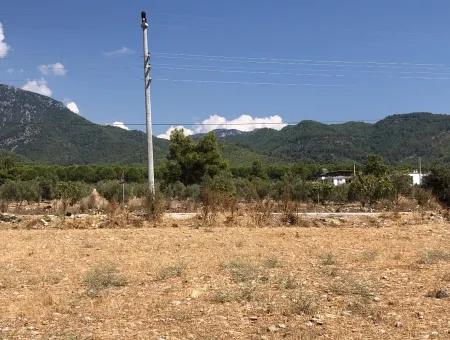 11.227M2 Land For Sale With Lake Views In Köyceğiz Zeytinalanı