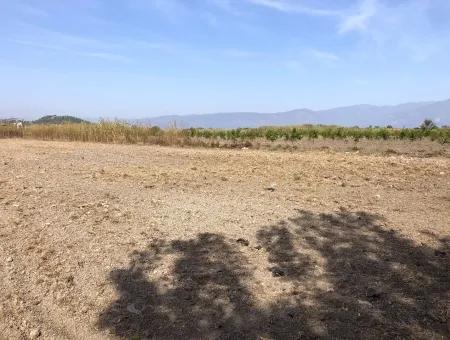 Land For Sale In Esköy 8500M2 Field Land For Sale
