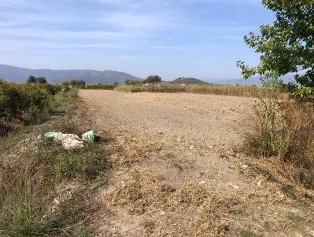 Land For Sale In Esköy 8500M2 Field Land For Sale