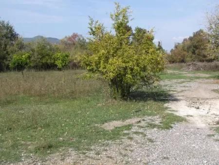 Land For Sale In Guzelyurt Land For Sale Zero 5515M2 Land For Sale On The Main Road