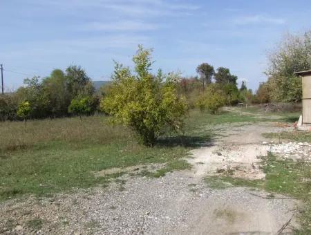 Land For Sale In Guzelyurt Land For Sale Zero 5515M2 Land For Sale On The Main Road