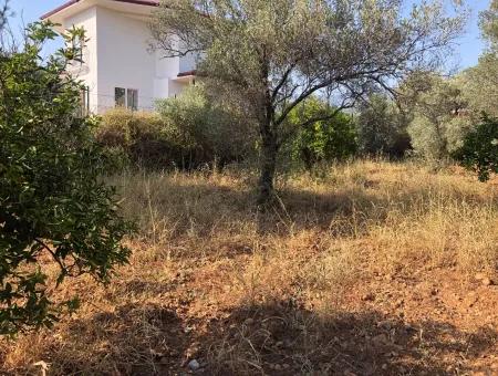 Land Field For Sale In Köyceğinz Yangi 9406M2 Land For Sale