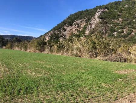 Land For Sale In Sarıgermede 30,000M2 Land For Sale With Sea View