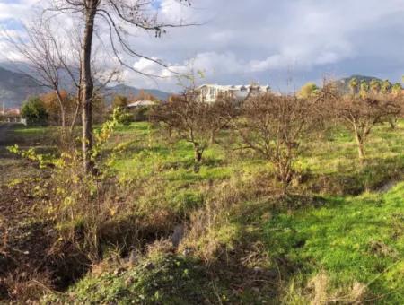 Dalyan Land For Sale Near The Center 3000M2 5% Zoning Land For Sale
