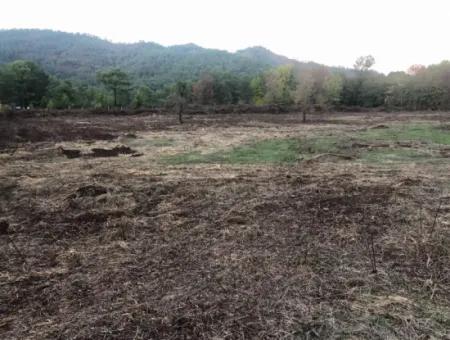 Sultaniye Land For Sale Near 10577M2 Lake Land For Sale