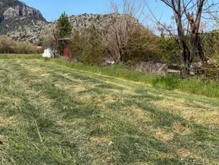 3700M2 Land For Sale In Dalyan