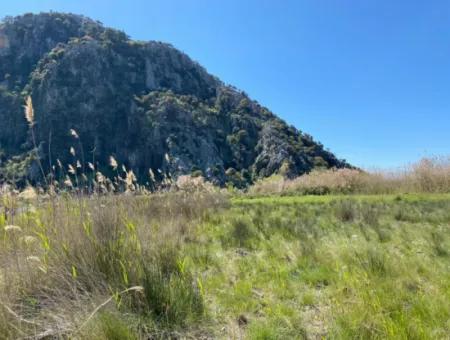 9310M2 Land For Sale In Dalyan