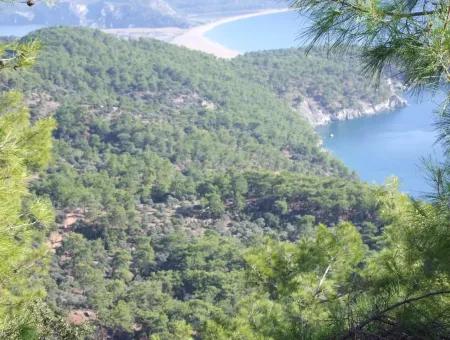 Real Estate Bargain Plot For Sale With Sea Views In Çandır Call In Ekincik