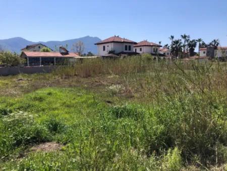 Land For Sale In Dalyan Gülpinar