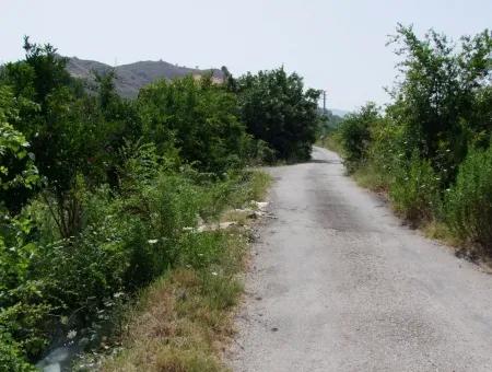 Land-Plot For Sale For Sale In Oriya Yerbele 750M20