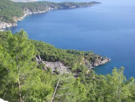 Real Estate Bargain Plot For Sale With Sea Views In Çandır Call In Ekincik