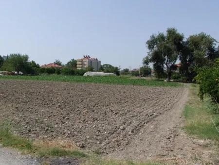 Land-Plot For Sale For Sale In Oriya Yerbele 750M20