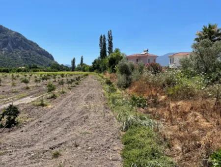 Okçular Land For Sale In Marmarlı 6500M2