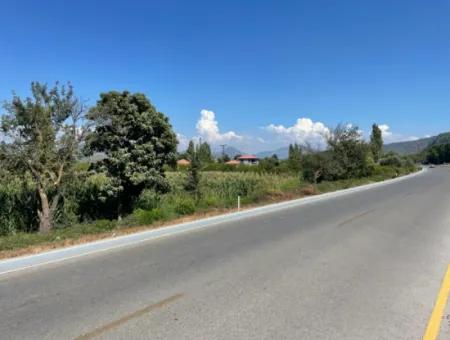 Dalyan Main Road Zero Land For Sale 8115M2 Commercial Land For Sale