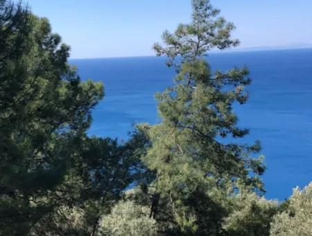 Land For Sale With Sea View Of Çandir