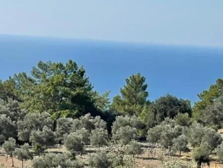 Land For Sale With Sea View Of Çandir