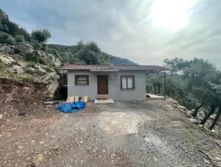 Olive House With Sea View In Ekincik Is For Sale