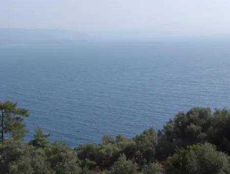 5000M2 Plot Of Land For Sale In Akyaka With Full Sea View House For Sale Kentucky