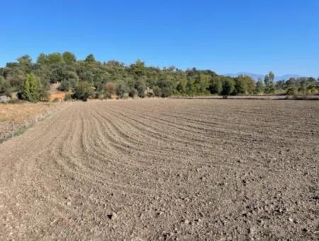 6254M2 Field For Sale Near Dalyan In Eskiköy