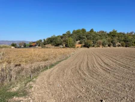 6254M2 Field For Sale Near Dalyan In Eskiköy