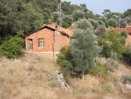 5000M2 Plot Of Land For Sale In Akyaka With Full Sea View House For Sale Kentucky
