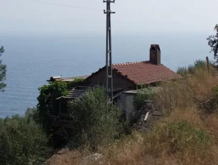 5000M2 Plot Of Land For Sale In Akyaka With Full Sea View House For Sale Kentucky