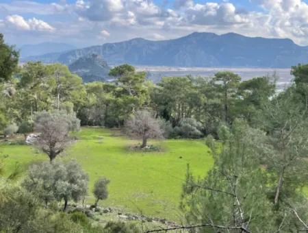 10,707M2 2B Field For Sale With Sea Lake View In Çandır