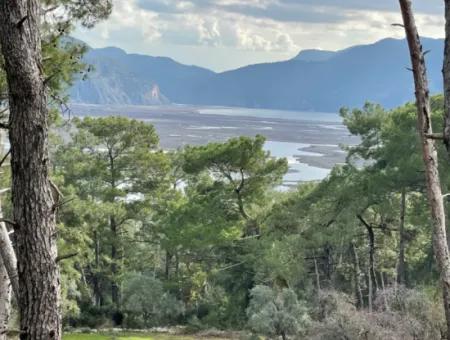 10,707M2 2B Field For Sale With Sea Lake View In Çandır