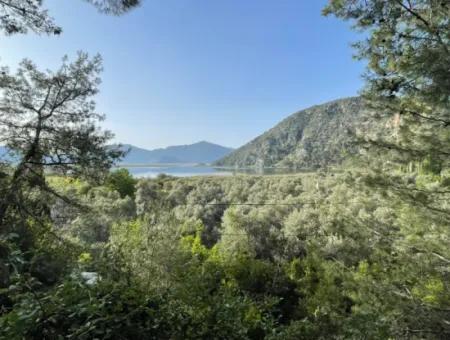 1,136M2 Field Plot For Sale With Çandır Lake View