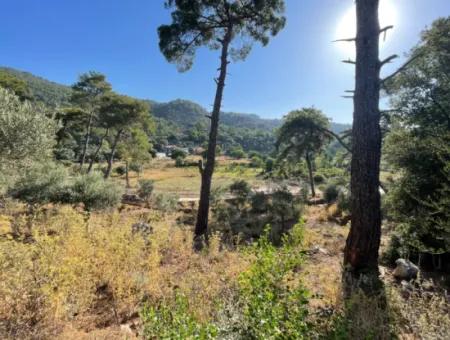 1,320M2 Field For Sale In Çandır Center By The Forest