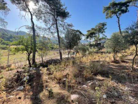 1,320M2 Field For Sale In Çandır Center By The Forest