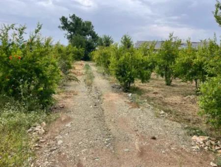 2,528M2 Field For Sale Near The Center Of Dalyan