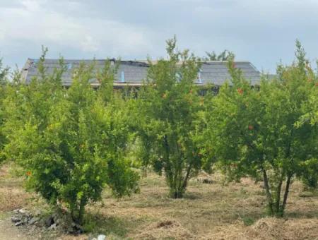 2,528M2 Field For Sale Near The Center Of Dalyan