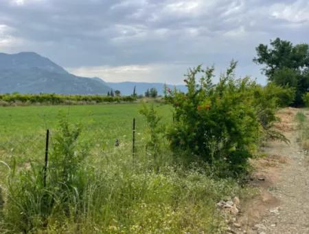 2,528M2 Field For Sale Near The Center Of Dalyan