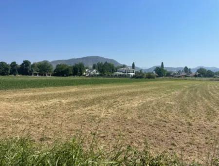 Land For Sale Of 2715M2 In The Built-Up Area Of The Village In Okçular