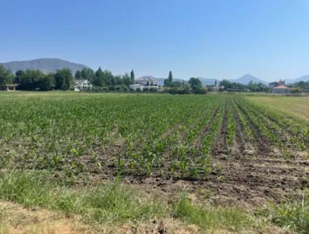 Land For Sale Of 2715M2 In The Built-Up Area Of The Village In Okçular