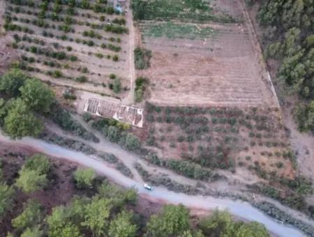3578M2 Field For Sale On The Road Of Aşı Koyu In Mergenlide