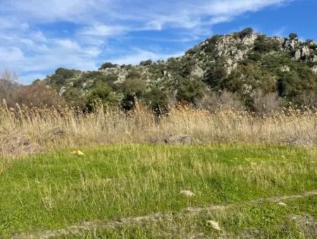 6800 M2 Land For Sale In Dalyan With 5% Residential Zoning