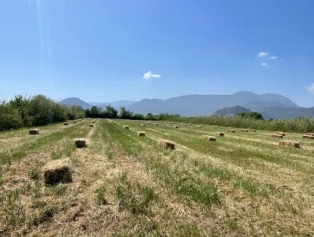 6,500M2 Field For Sale On The Iztuzu Road In Dalyan