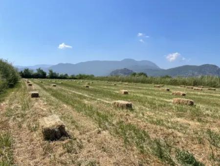 6,500M2 Field For Sale On The Iztuzu Road In Dalyan